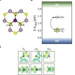 (纯计算)新加坡国立大学ACS Nano: 二维过渡金属硫族化合物中量子缺陷的太赫兹技术