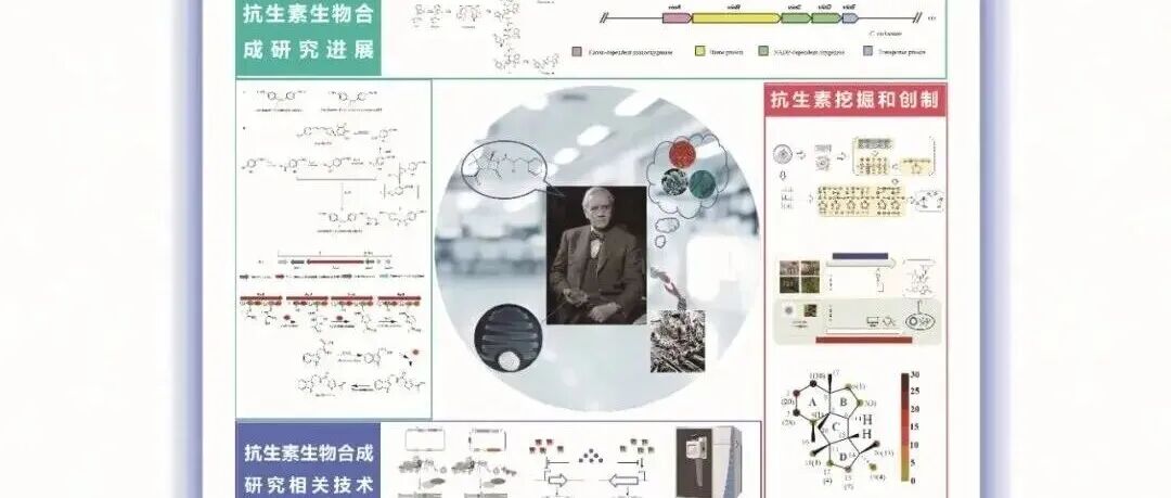 刘文、林芝：“抗生素生物合成”专辑