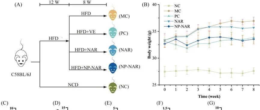【Journal of Nanobiotechnology】柚皮素阳离子脂质修饰的纳米颗粒减缓MASLD的进展