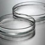 《食品科学》：新疆维吾尔自治区设施农业和特色农业研究发展中心耿新丽研究员等：镰刀菌侵染采后不同呼吸类型甜瓜的致病机制