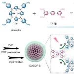 ACS Nano：供体工程化共价有机框架纳米光催化剂可产生无需氧气的自由基风暴以实现乏氧癌症光学治疗