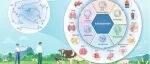 The Innovation Life | 虾青素的代谢调控：从分子机制到应用潜力