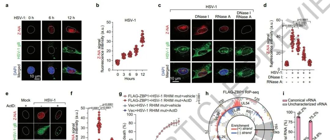 颠覆传统观点！四川大学最新Nature