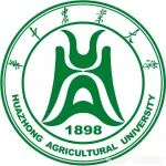 Adv Sci | 谷氨酸甲亚氨基三转移酶等位基因触发玉米5-甲基四氢叶酸转化为铁，促进叶酸生物强化