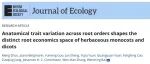 Journal of Ecology | 植物所白文明研究团队揭示了解剖结构随根级的变化对植物根系经济空间的影响