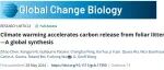 Global Change Biology | 全球变暖加速叶片凋落物碳释放：基于一项全球Meta分析