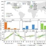 Global Change Biology | 沿海湿地植被类型变化对碳汇强度的生理和物候控制