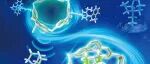 Sci. China Chem. 2025年第10期目录