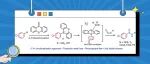 【Org. Lett.】牛津大学：通过电子供体-受体复合物光活化和自由基加成亚磺酰胺试剂实现位点选择性C-H亚磺酰胺化反应