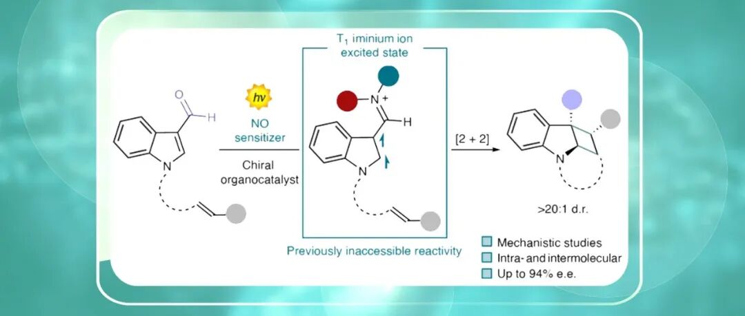 【Nat. Chem.】意大利帕多瓦大学Dell’Amico组：亚胺离子三线态反应性助力有机催化不对称光促[2+2]环加成