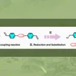 【Chem. Sci.】吉林大学杨英威课题组：型荧光大环化合物——高效产生活性氧，助力光动力抗菌