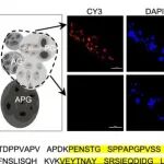 浙江大学张传溪等团队合作最新PNAS