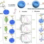 宁夏大学孙辉 Macromolecules：偶氮均聚物侧链工程调控AIE纳米碗的形貌转变与淬灭机理研究