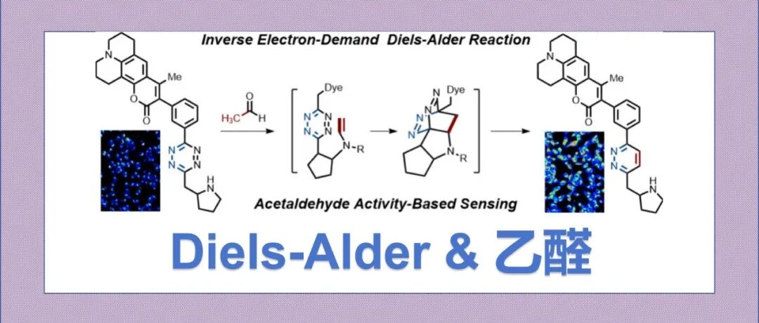 文献分享|基于反电子需求Diels-Alder方法选择性地在活细胞中检测乙醛