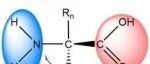 (纯计算)吉林大学杨欣瑞等J. Phys. Chem. Lett.: 量子隧穿效应主导的氨基酸外消旋双路径并存机制