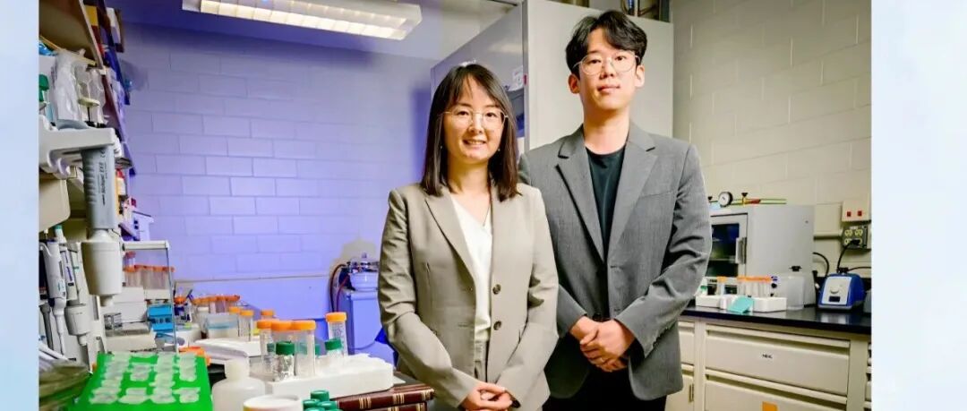 UIUC 陈倩教授团队 Nature: 原子级模板印刷策略 → 制备具有“斑块”结构的纳米颗粒（NPs）