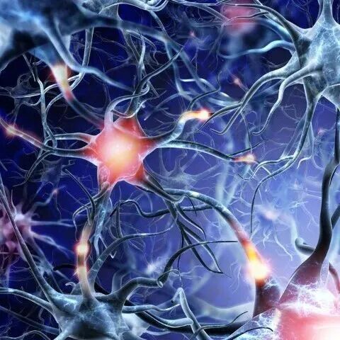 为何女性更易患这类疾病？《科学》子刊找到重要原因！二甲双胍或能帮助治疗