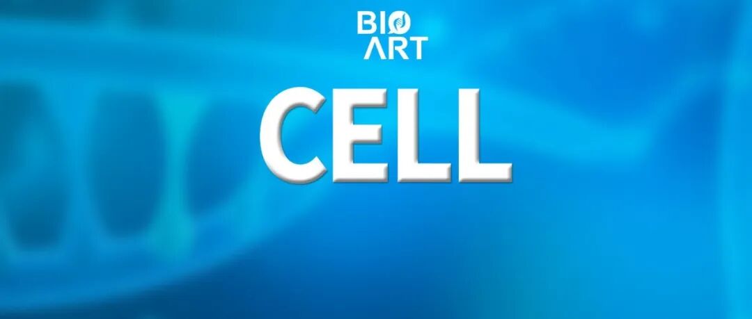 专家点评Cell | 卢培龙团队及其合作者从头设计新型电压门控阴离子通道