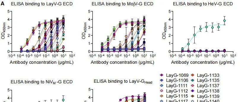 Cell Rep | 南方科技大学医学院第二附属医院张政/鞠斌联合南方科技大学鄢仁鸿解析LayV病毒G蛋白与双抗体复合物结构