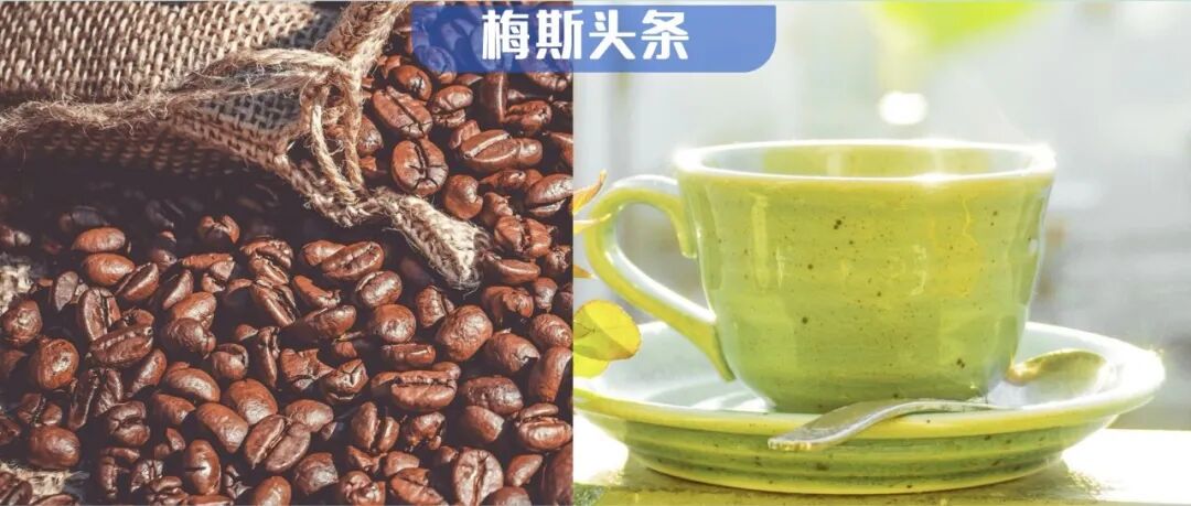 茶+咖啡更“续命”再添新证！多项研究：两者同饮，死亡风险降45%，但这一比例是关键！且每天3杯茶抗衰效果最佳
