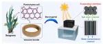 蒸发材料1013丨福建农林大学Nano Energ研究型论文：生物启发的三维结构气凝胶蒸发器，用于高效太阳能海水淡化
