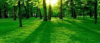 审稿人高度评价！继Nature后，北京林业大学再发Science