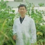 王二涛团队植物与生物“互利共赢”艺术：植物如何识别“来访”微生物是敌是友？