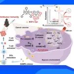 【J. Med. Chem.】南师大苏志教授团队：乏氧环境下靶向光氧化还原系统激活光动力免疫疗法