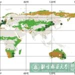 文献解读｜Science：北京林业大学庾强教授团队首次揭示了干旱强度与持续时间共同作用加剧了全球草原和灌丛生产力的损失