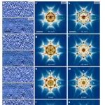 研究进展：二维重费米子材料CeSiI | Nature Physics