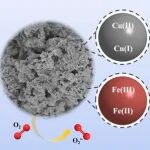 北京大学冀豪栋团队JHM：CuO@Fe2O3协同激活过一硫酸盐降解氧氟沙星——表面羟基的作用和环境适用性