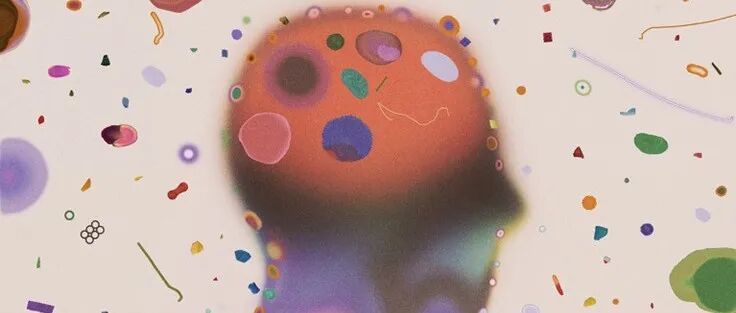 分解人类大脑后，科学家发现：我们脑子里已都是微塑料了