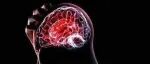 Transl Psychiatry︱广州中医药大学许能贵/姚露露团队揭示5-HT对电针改善中风后抑郁的重要作用