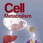Cell Metab | 中国药科大学郝海平/谢昊团队揭示葡萄糖抑制型（GI）神经元调控低血糖抵抗新机制