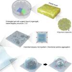 Nature Commun：用于多功能液体作的数字化制造的 3D 光滑架构