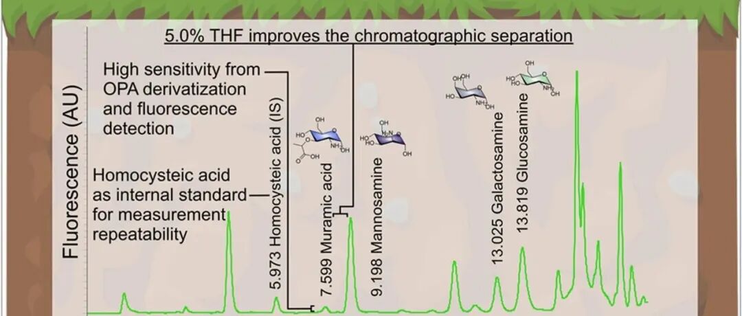 残体碳测定新方法丨SOIL BIOL BIOCHEM：改良型超高效液相色谱法用于土壤氨基糖定量分析相较于气相色谱法具有更高灵敏度
