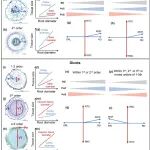 植物所白文明研究团队《Journal of Ecology》最新研究成果！揭示解剖结构随根级的变化对植物根系经济空间的影响