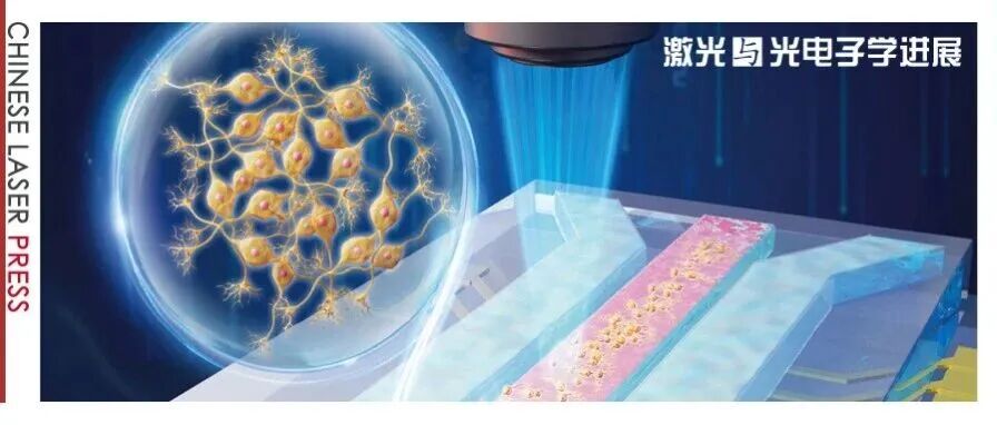 专题封面 |&#160;神经科学新平台：光电集成片上实验室