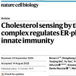 Nat Cell Biol | 浙江大学孙启明/刘伟团队揭示胆固醇感应复合物调控内质网自噬与STING天然免疫
