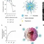 Science Advances:&#160;赵宗敏团队开发新型细胞疗法逆转中枢神经系统免疫失衡，改善多发性硬化症