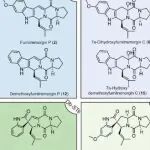 中国海洋大学王乂/朱伟明合作最新Science子刊