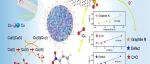 文献速递|中国科学院大学SPT:用掺氮碳纳米管组装的 MOF 源 CuCo 碳微球作为 PMS 激活剂高效降解对硝基苯酚