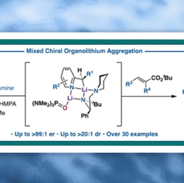 【JACS】加州大学Armen Zakarian：手性锂酰胺精准操控吡啶立体合成
