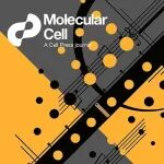 Mol Cell丨封面研究：许琛琦/施小山/王皞鹏团队合作揭示T细胞受体的信号多样性机制