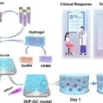 Mol Cancer丨杨华瑜/葛鹏磊/康维明团队利用源自患者的3D生物打印胃癌模型探索临床化疗疗效的个性化预测并揭示肿瘤异质性