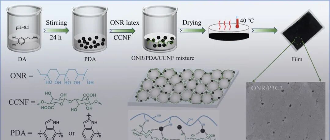 西南大学曾建兵《Macromolecules》：聚多巴胺辅助构建高性能室温自修复导电弹性体