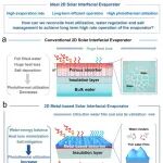 陕科大王成兵教授团队 Mater. Today：薄层水膜调控与团簇蒸发协同作用实现超高二维太阳能蒸汽生成