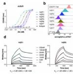 JACS|  劫持细胞外靶向蛋白降解剂-药物偶联物途径以增强药物递送