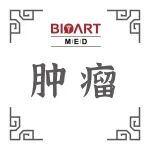 Adv Sci丨赵克浩/陆文超开发靶向转录因子TEAD的选择性蛋白降解剂