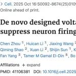 专家点评Cell | 卢培龙团队及其合作者从头设计新型电压门控阴离子通道